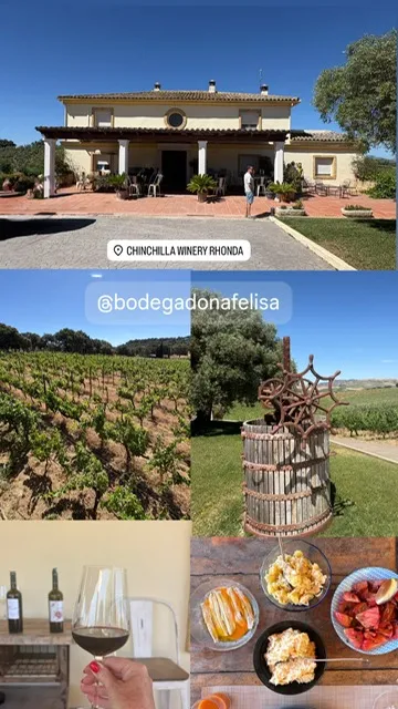 Ontdek de verborgen wijnschat van Andalusië - Serrania de Ronda
